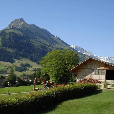 Studio Elsighorn Appartement *